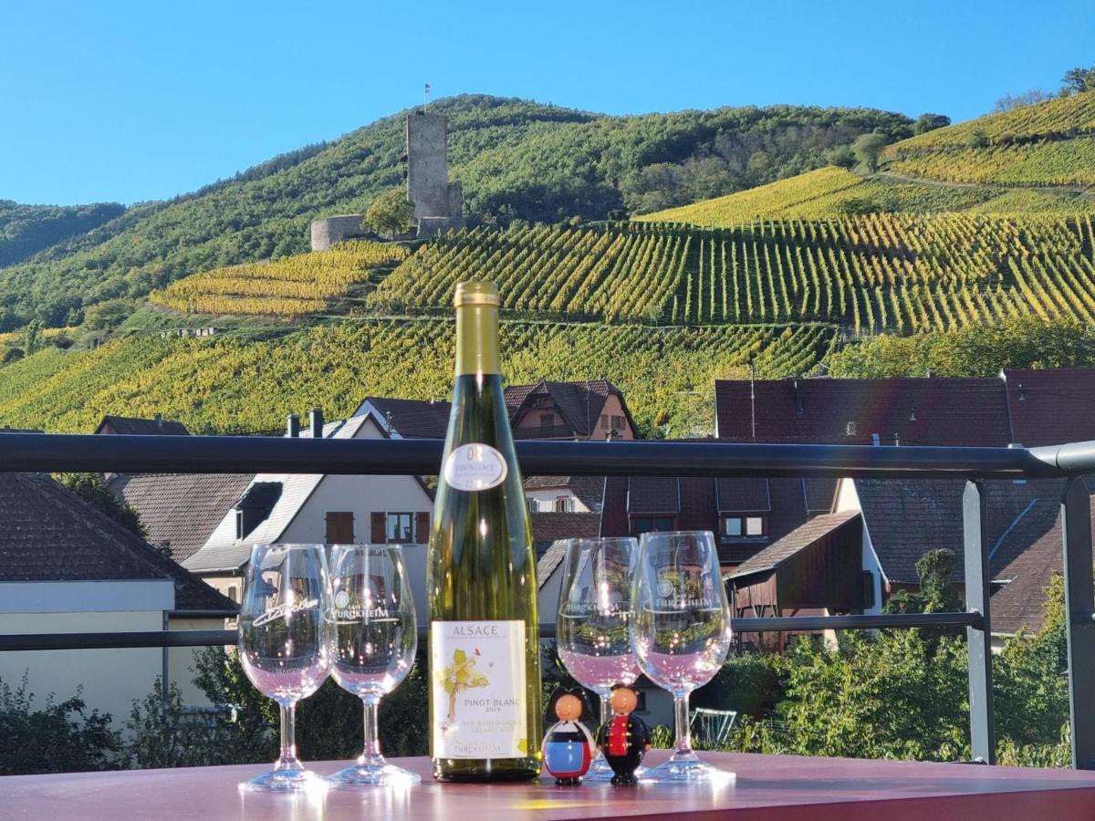 Gites Les Terrasses Du Wineck Katzenthal Exterior foto