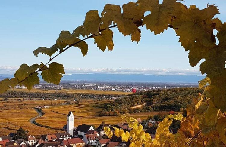 Gites Les Terrasses Du Wineck Katzenthal Exterior foto