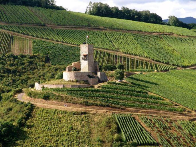Gites Les Terrasses Du Wineck Katzenthal Exterior foto
