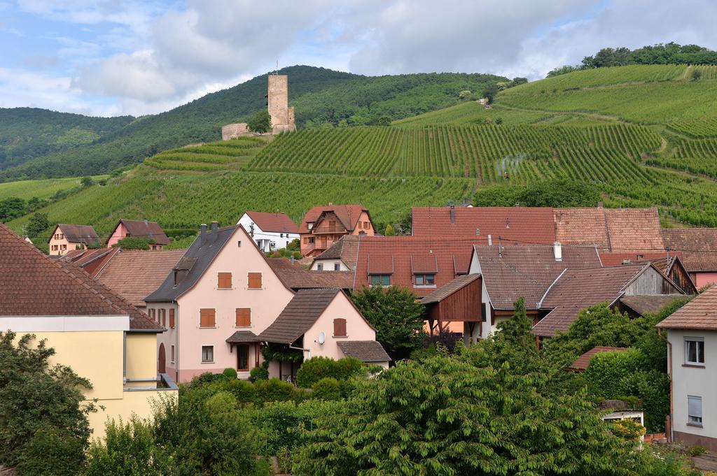 Gites Les Terrasses Du Wineck Katzenthal Exterior foto